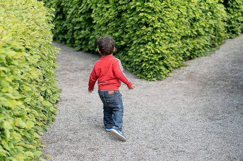 Labyrinth Exploration